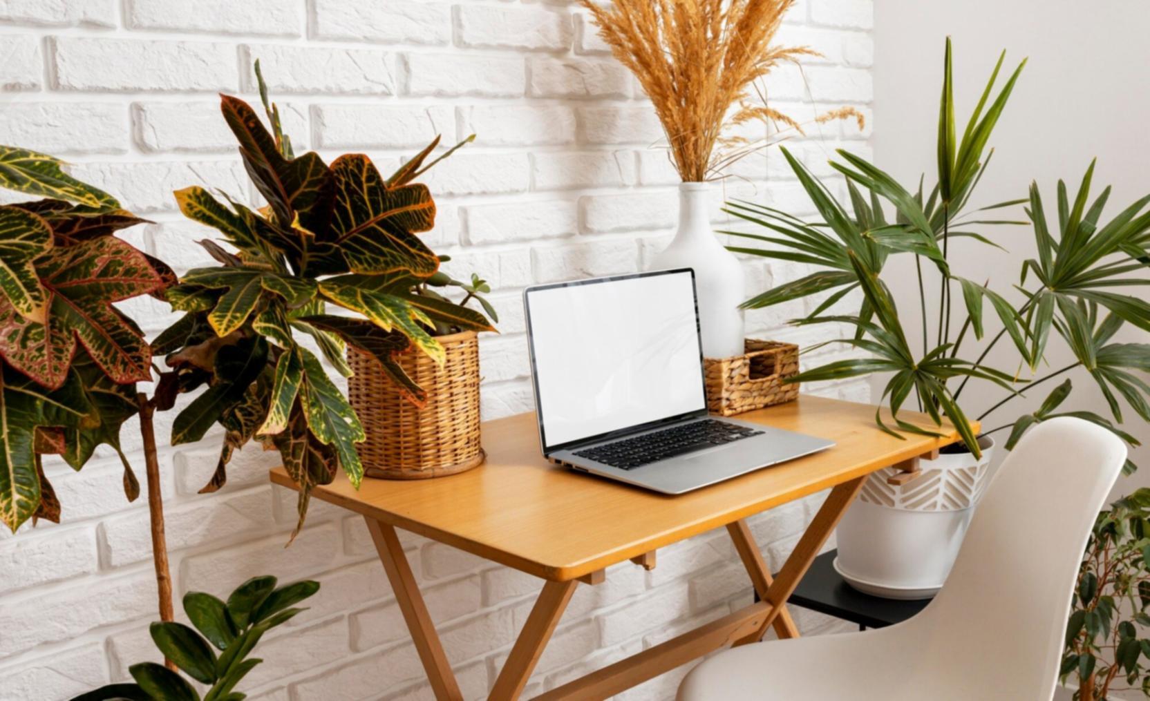 Formation en planification financière pour entrepreneurs